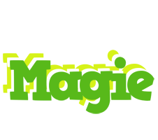 Magie picnic logo