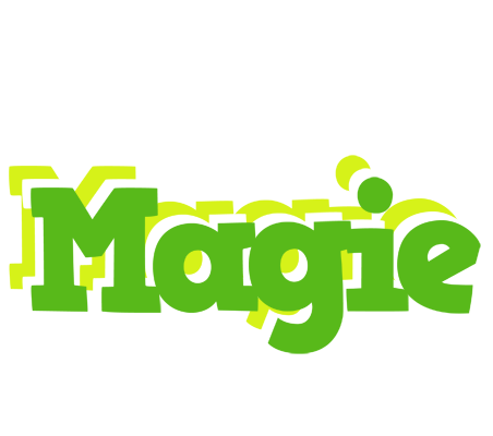 Magie picnic logo