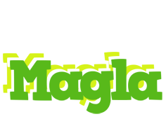 Magla picnic logo