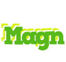 Magn picnic logo