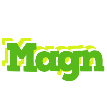 Magn picnic logo