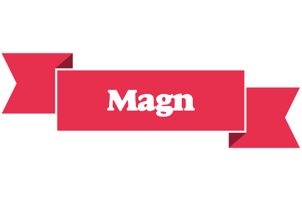Magn sale logo