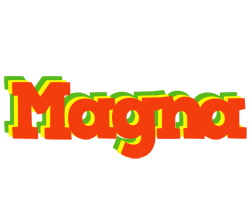 Magna bbq logo