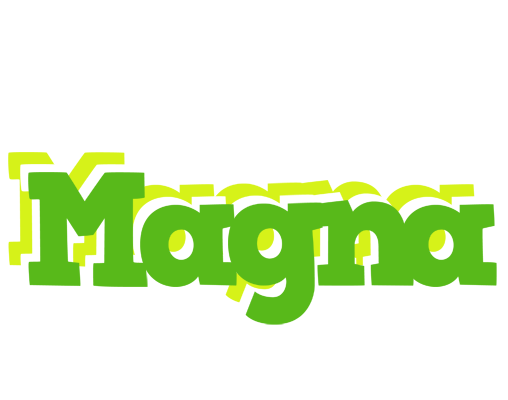 Magna picnic logo