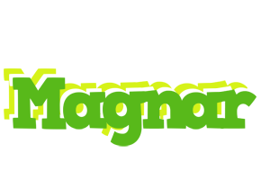 Magnar picnic logo