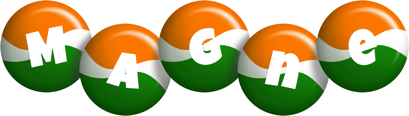 Magne india logo