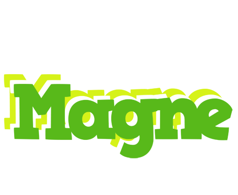 Magne picnic logo