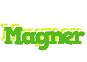 Magner picnic logo