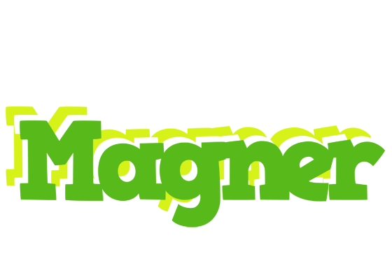 Magner picnic logo