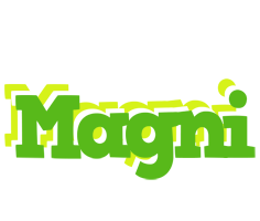 Magni picnic logo