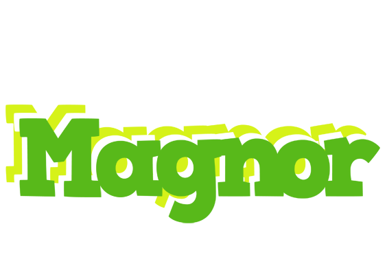 Magnor picnic logo