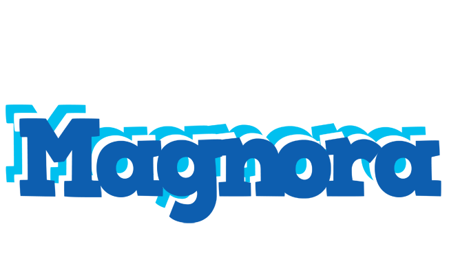 Magnora business logo