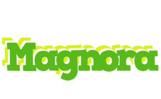 Magnora picnic logo