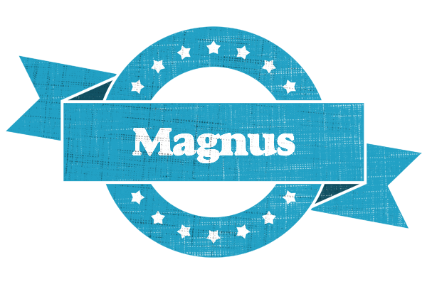 Magnus balance logo