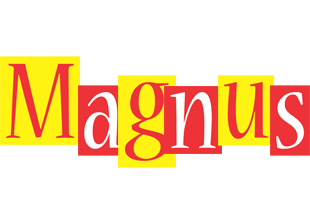 Magnus errors logo