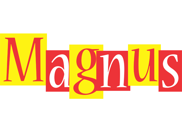 Magnus errors logo