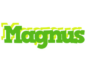 Magnus picnic logo