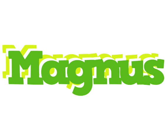 Magnus picnic logo