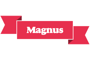 Magnus sale logo