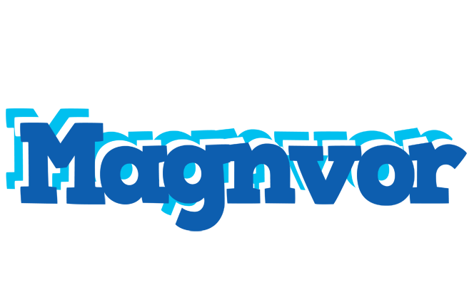 Magnvor business logo