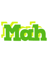 Mah picnic logo