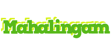 Mahalingam picnic logo