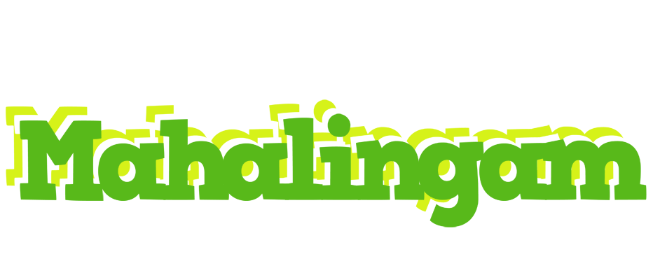 Mahalingam picnic logo