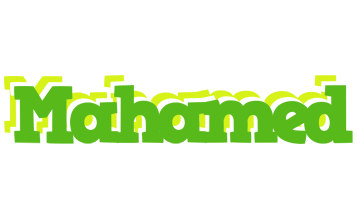 Mahamed picnic logo