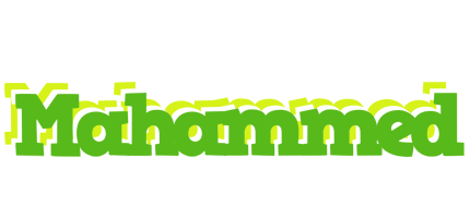 Mahammed picnic logo