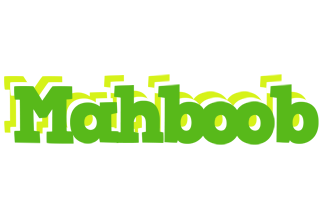 Mahboob picnic logo