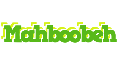 Mahboobeh picnic logo