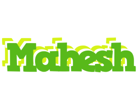 Mahesh picnic logo