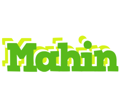 Mahin picnic logo