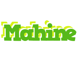 Mahine picnic logo