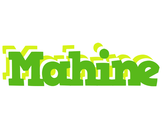 Mahine picnic logo