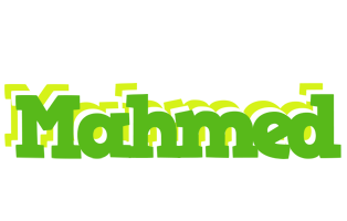 Mahmed picnic logo