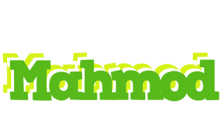 Mahmod picnic logo