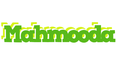 Mahmooda picnic logo