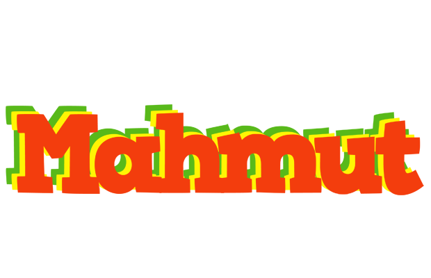 Mahmut bbq logo