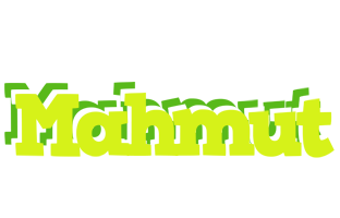 Mahmut citrus logo