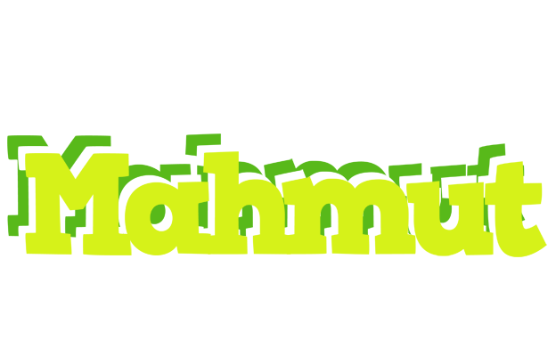 Mahmut citrus logo