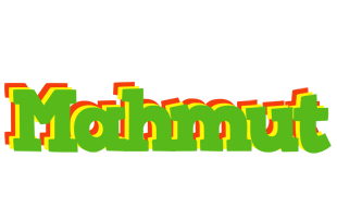 Mahmut crocodile logo