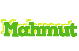 Mahmut picnic logo