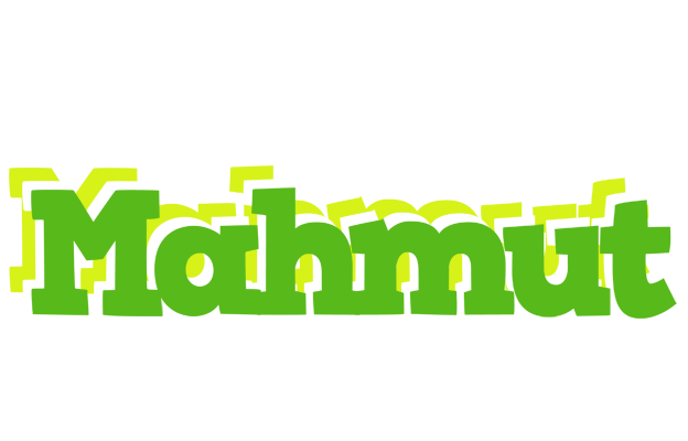 Mahmut picnic logo