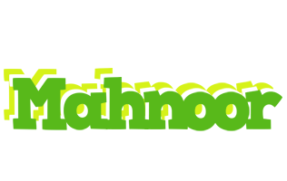 Mahnoor picnic logo