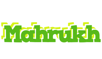 Mahrukh picnic logo