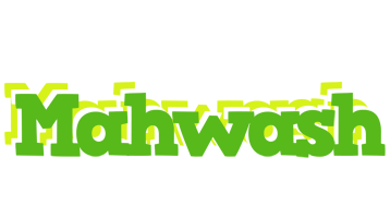 Mahwash picnic logo