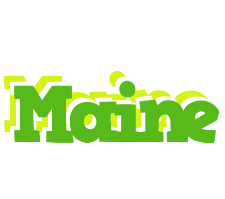 Maine picnic logo