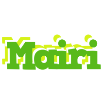 Mairi picnic logo