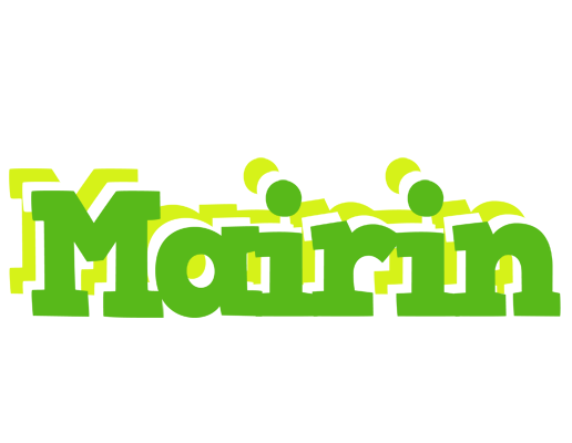 Mairin picnic logo